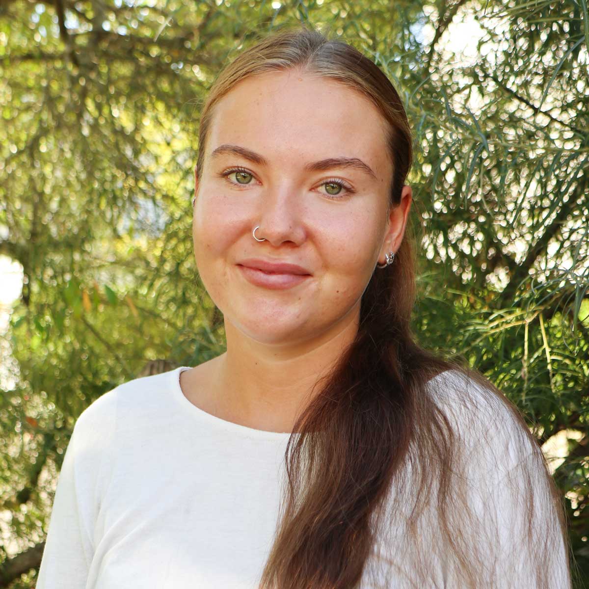 Maja